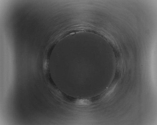 X0000102480137200808151458