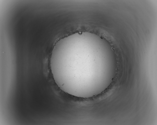 X0000102480144200808151458