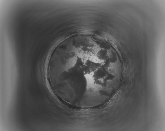 X0000102480145200808151457