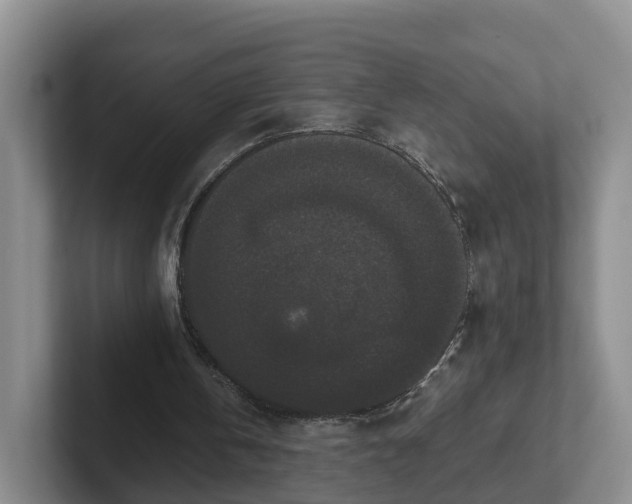 X0000102480146200808151457