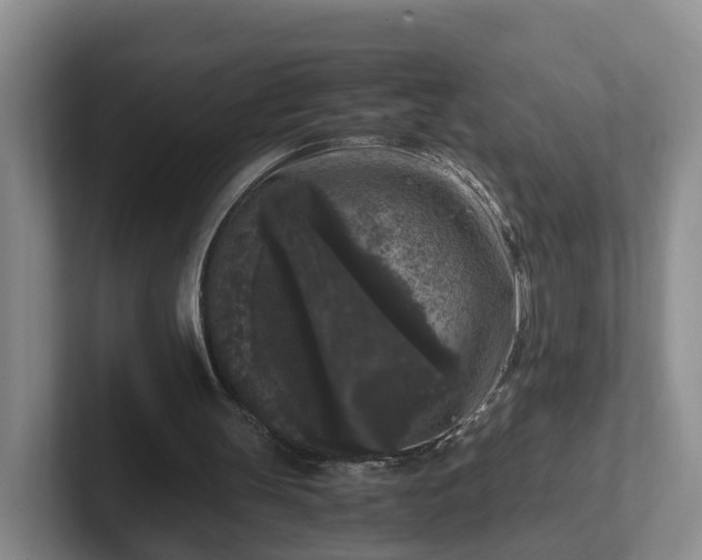 X0000102480147200808151457