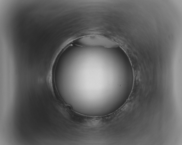 X0000102480148200808151457