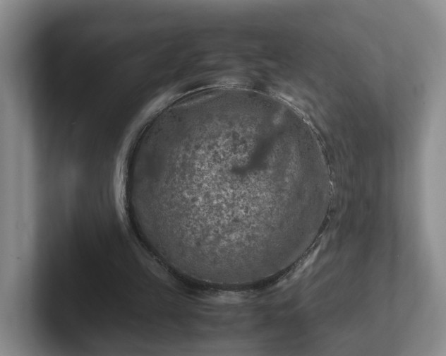 X0000102480149200808151457