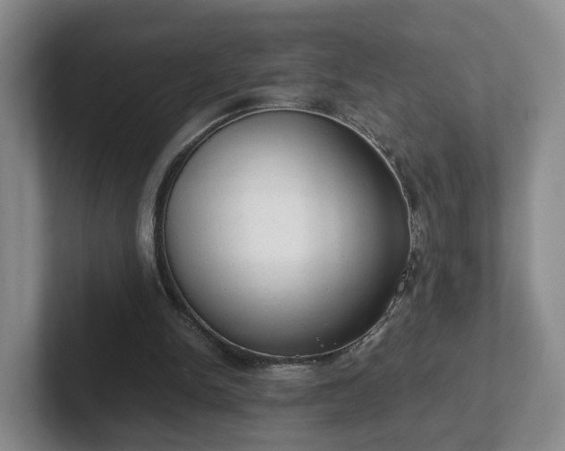 X0000102480150200808151457