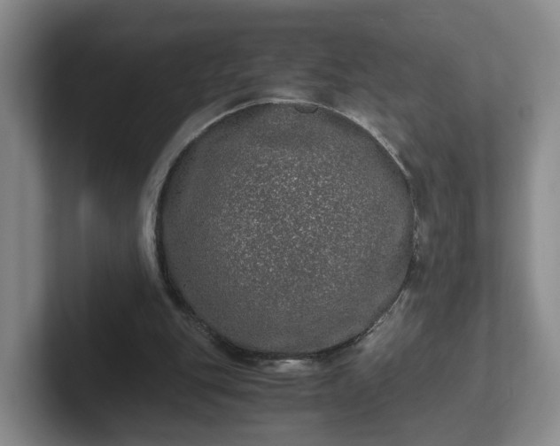 X0000102480151200808151457