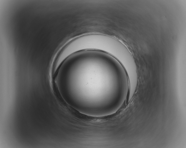 X0000102480152200808151457