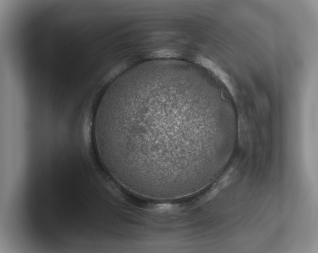 X0000102480153200808151457