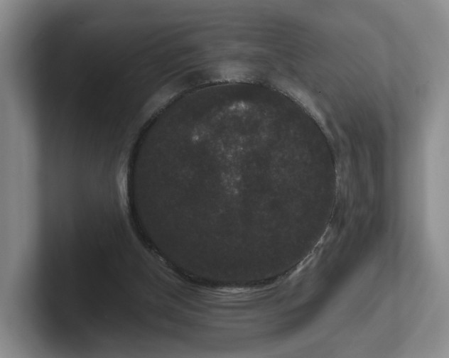 X0000102480154200808151457