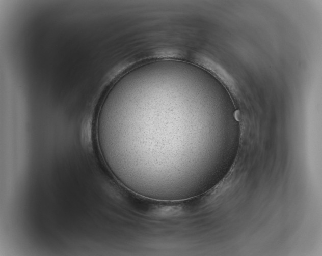 X0000102480155200808151457