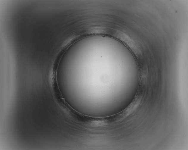 X0000102480160200808151457