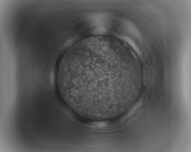 X0000102480161200808151457