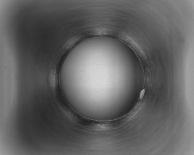 X0000102480164200808151457