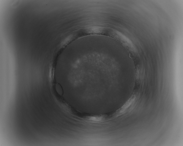 X0000102480168200808151457