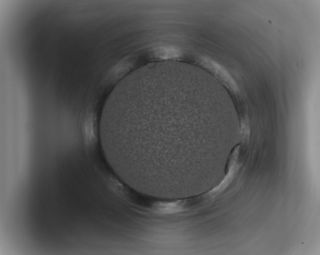 X0000102480170200808151457