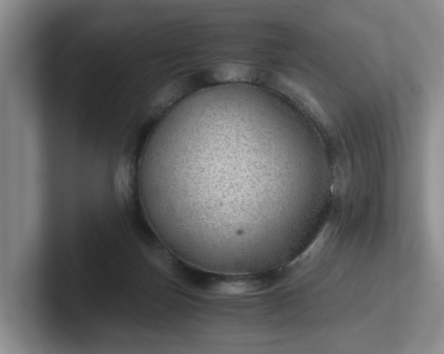 X0000102480171200808151457