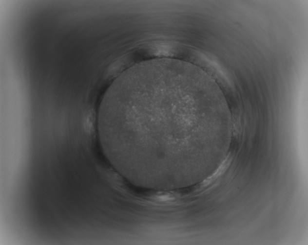 X0000102480175200808151457