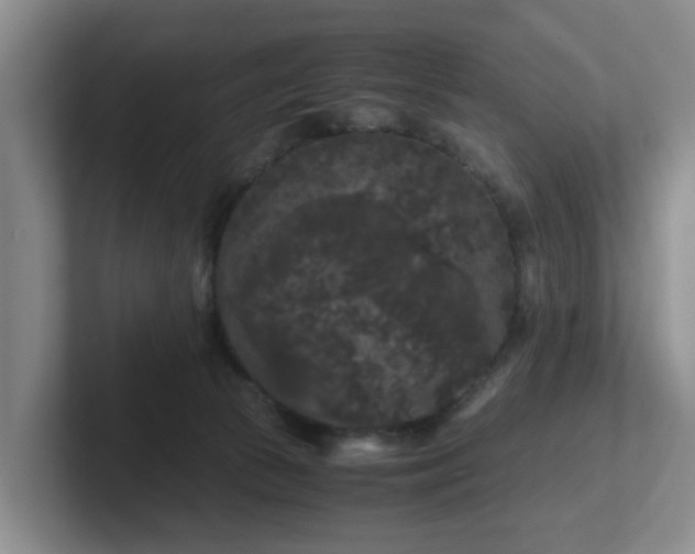 X0000102480177200808151457