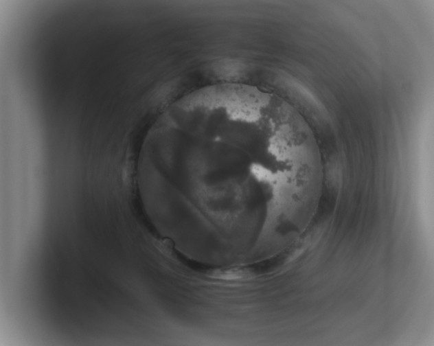 X0000102480181200808151457