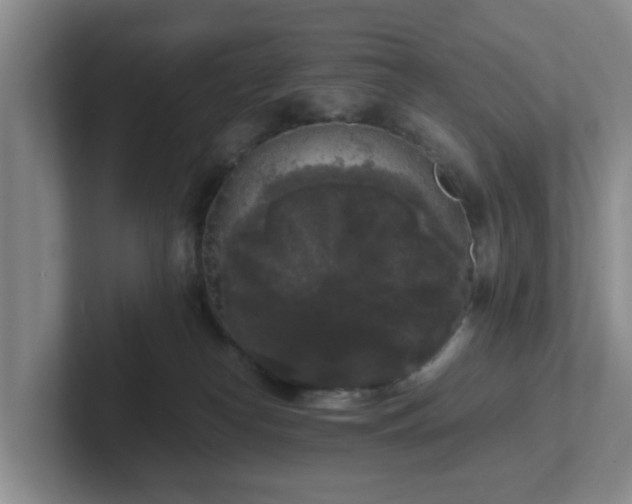 X0000102480182200808151457