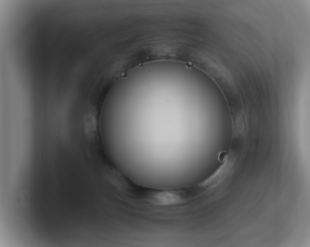 X0000102480183200808151457