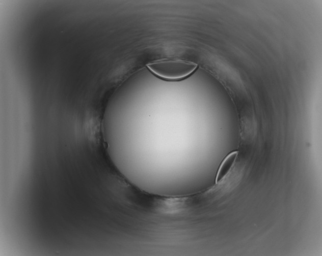 X0000102480184200808151457