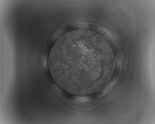 X0000102480185200808151458