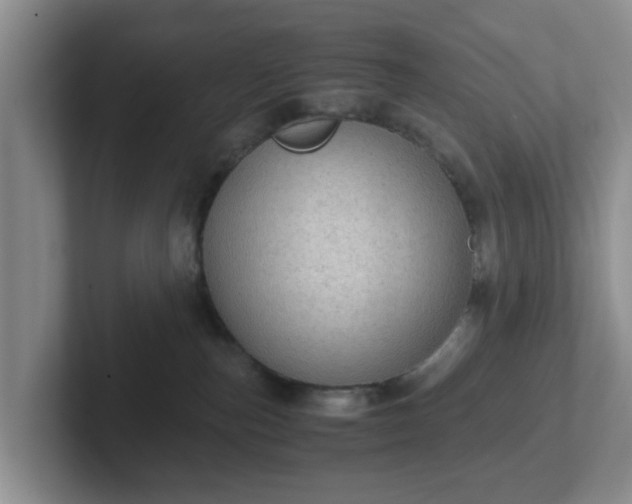 X0000102480187200808151458