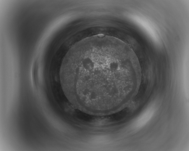 X0000102480189200808151458