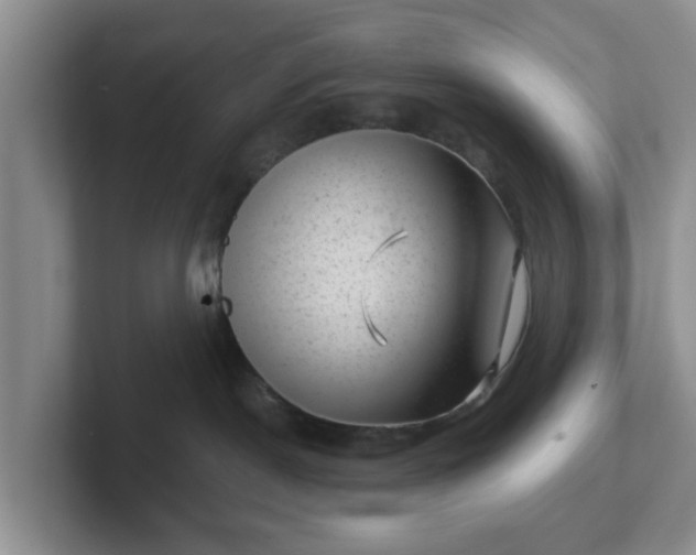 X0000102480190200808151458