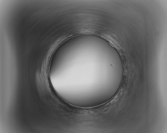 X0000102480193200808151457