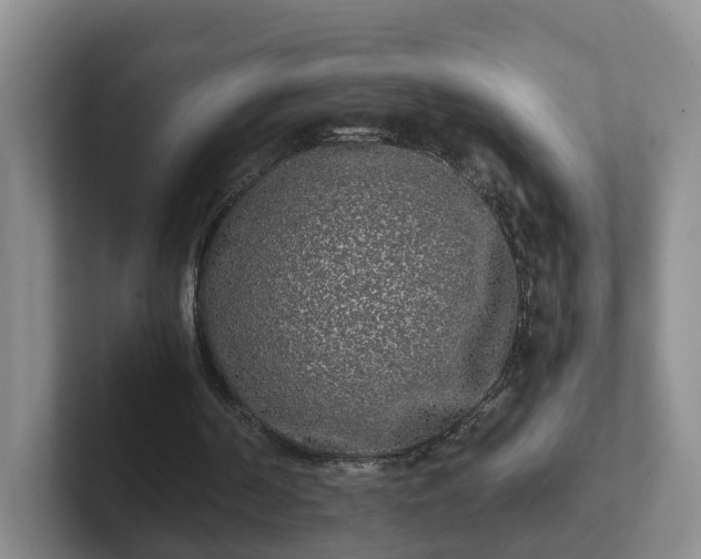 X0000102480194200808151457