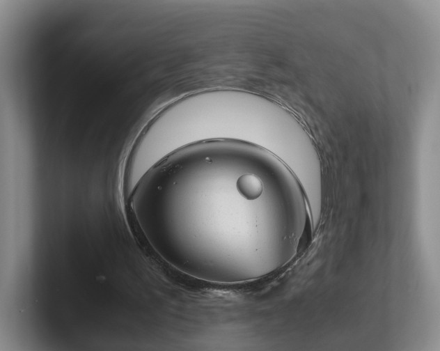 X0000102480195200808151457