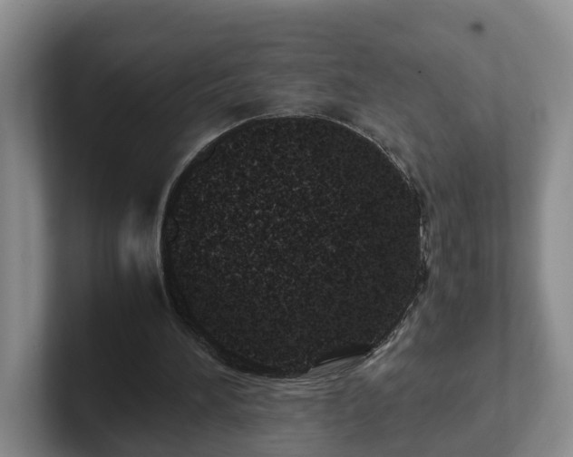 X0000102480196200808151457