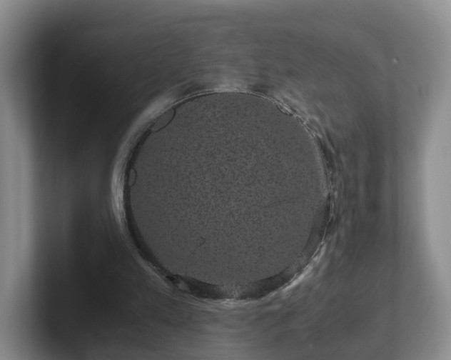 X0000102480197200808151457