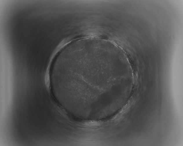 X0000102480198200808151457