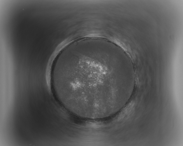 X0000102480199200808151457