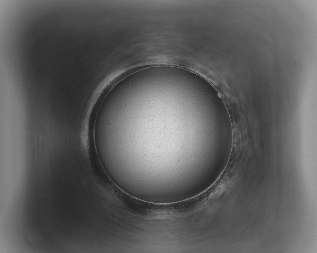 X0000102480200200808151457