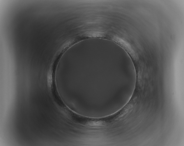 X0000102480202200808151457