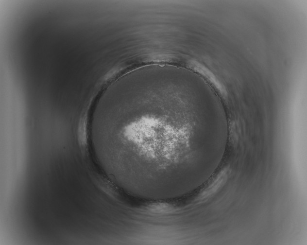 X0000102480203200808151457