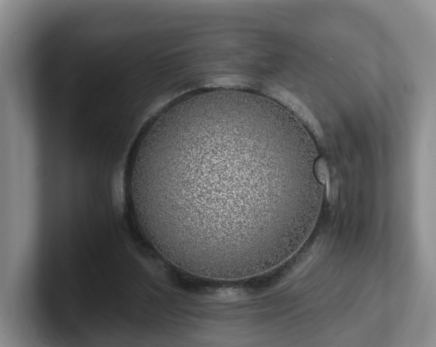 X0000102480204200808151457