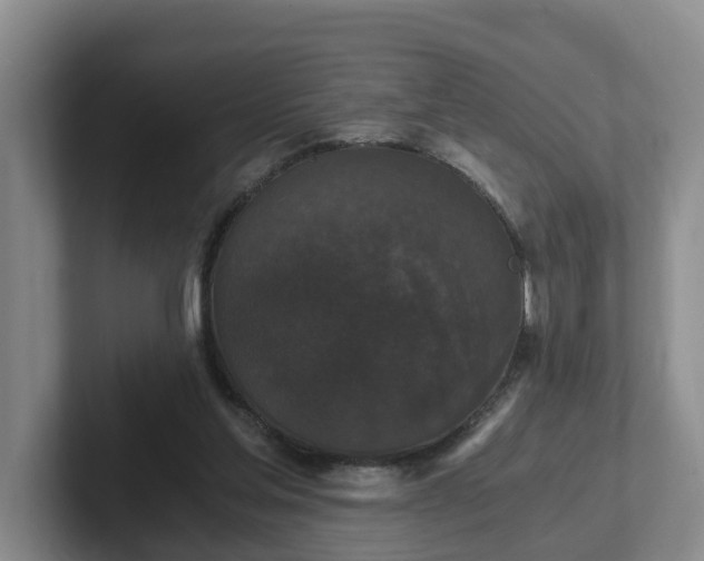 X0000102480205200808151457