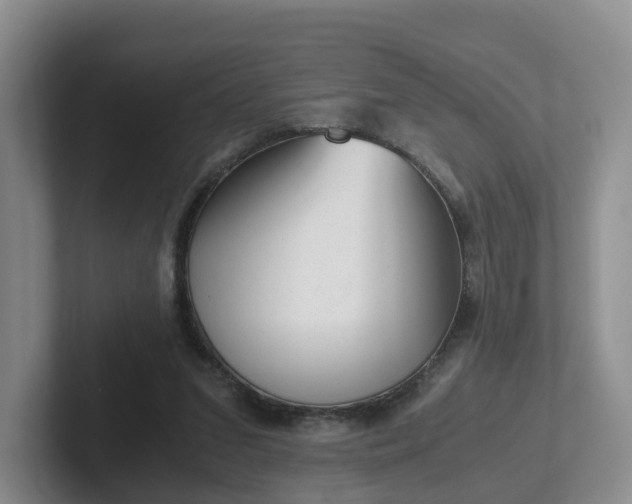 X0000102480207200808151457