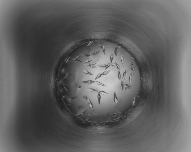 X0000102480208200808151457