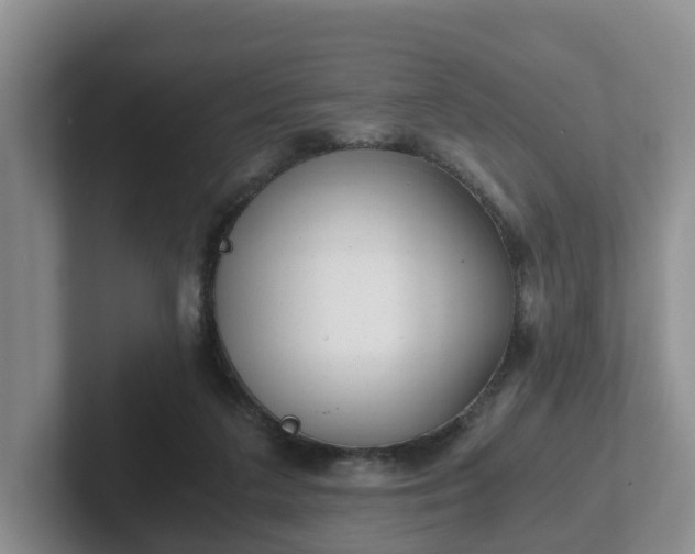 X0000102480211200808151457