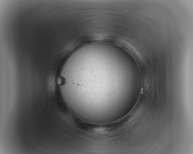 X0000102480216200808151457