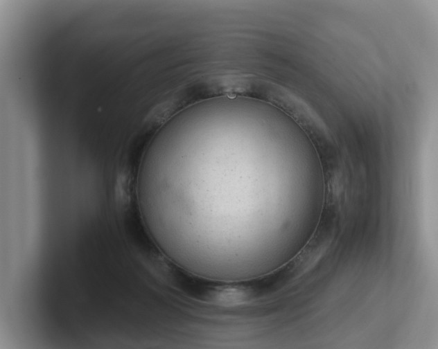 X0000102480218200808151457