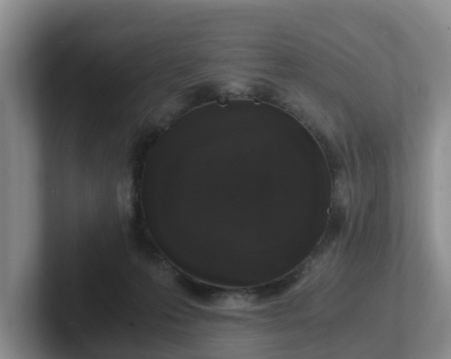 X0000102480223200808151457