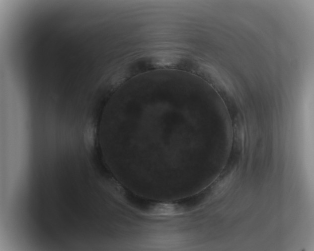 X0000102480227200808151457