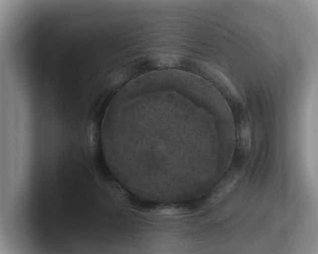 X0000102480228200808151457