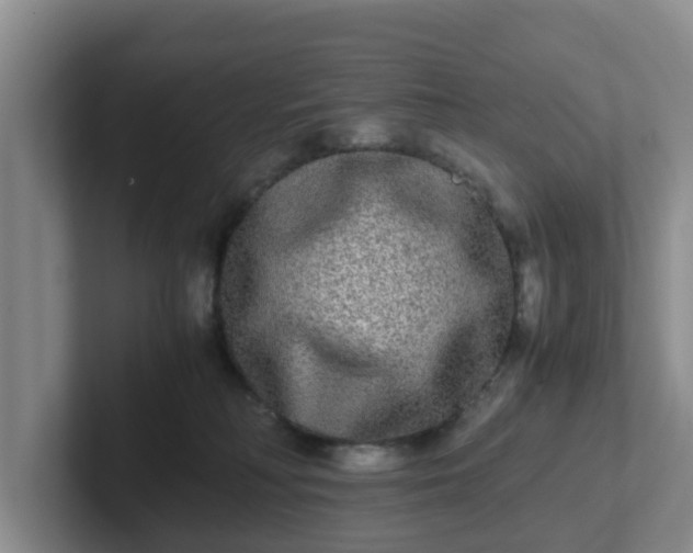 X0000102480230200808151456